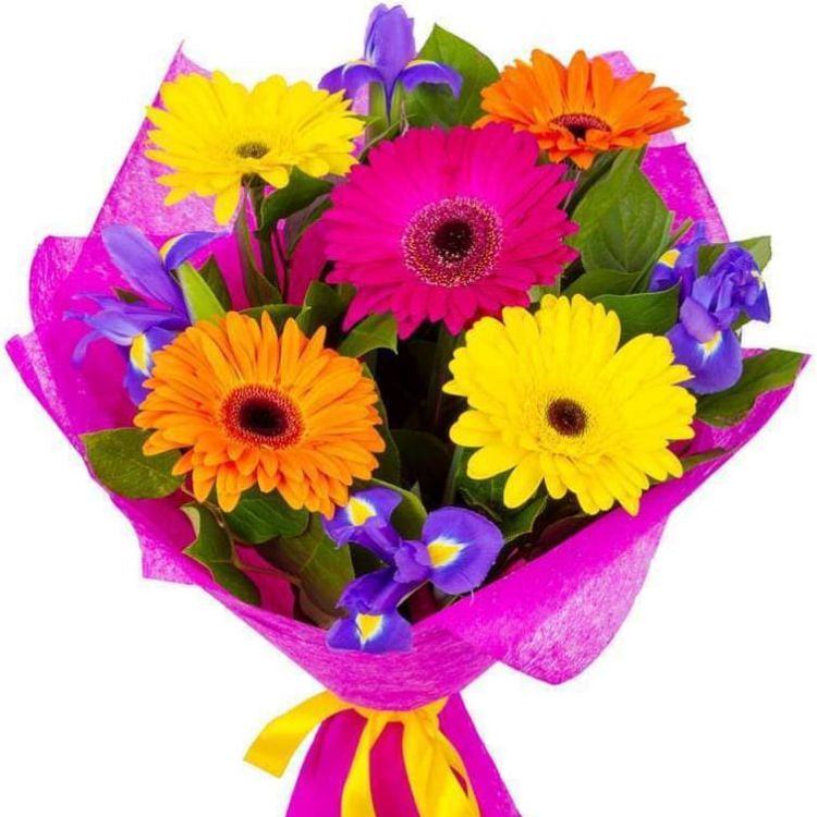 Моя нежность от 4 300 руб.